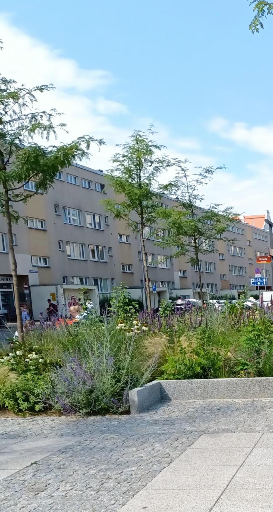 Apartament Kotlarska