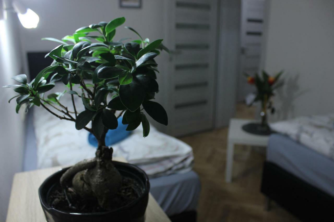 Apartament Kotlarska